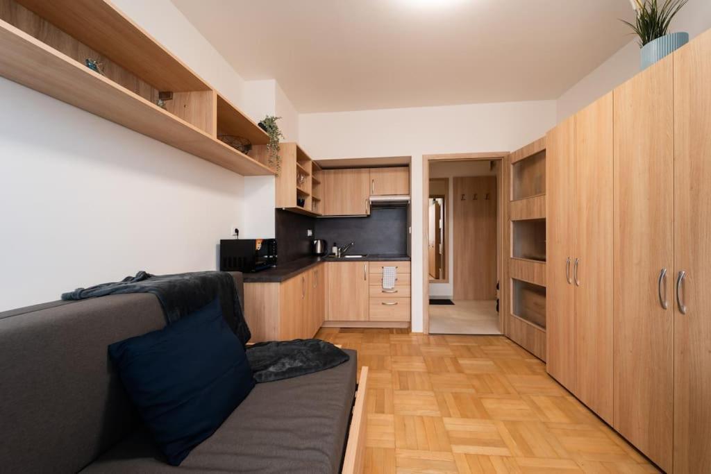 Studio Apartment In Brno-Center Екстериор снимка